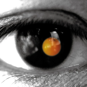 刘涛私生活黄片视频
