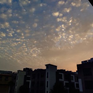 刘涛私生活黄片视频
