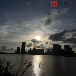 刘涛私生活黄片视频
